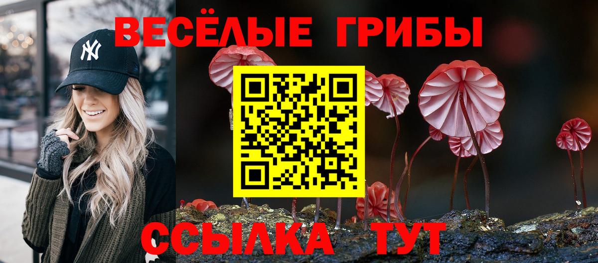 Псилоцибиновые грибы прущие грибы Кулебаки