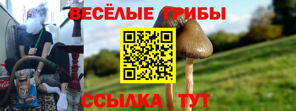Кулебаки  Галлюциногенные грибы MAGIC MUSHROOMS  купить наркотик  Вход с VPN 